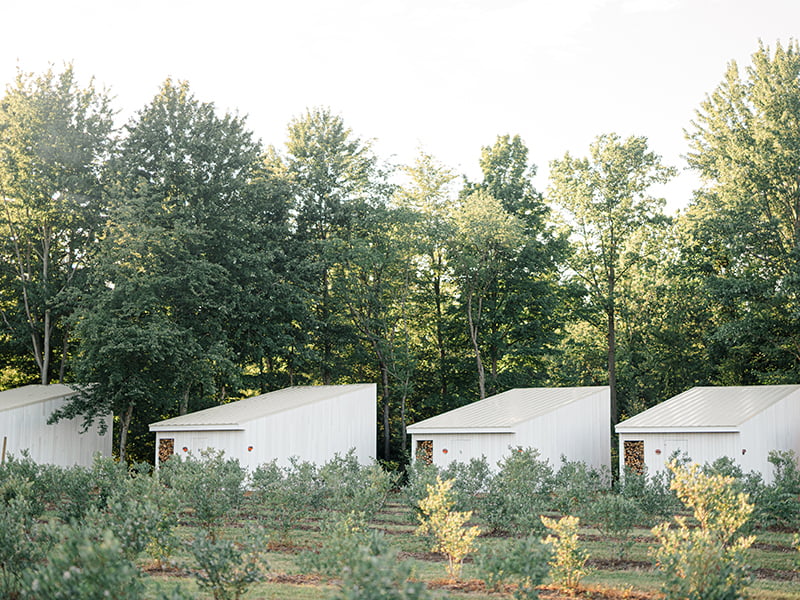 CONDON-WEDDING-JACQ-DANNY-KFK-SELECTS-692_11zon