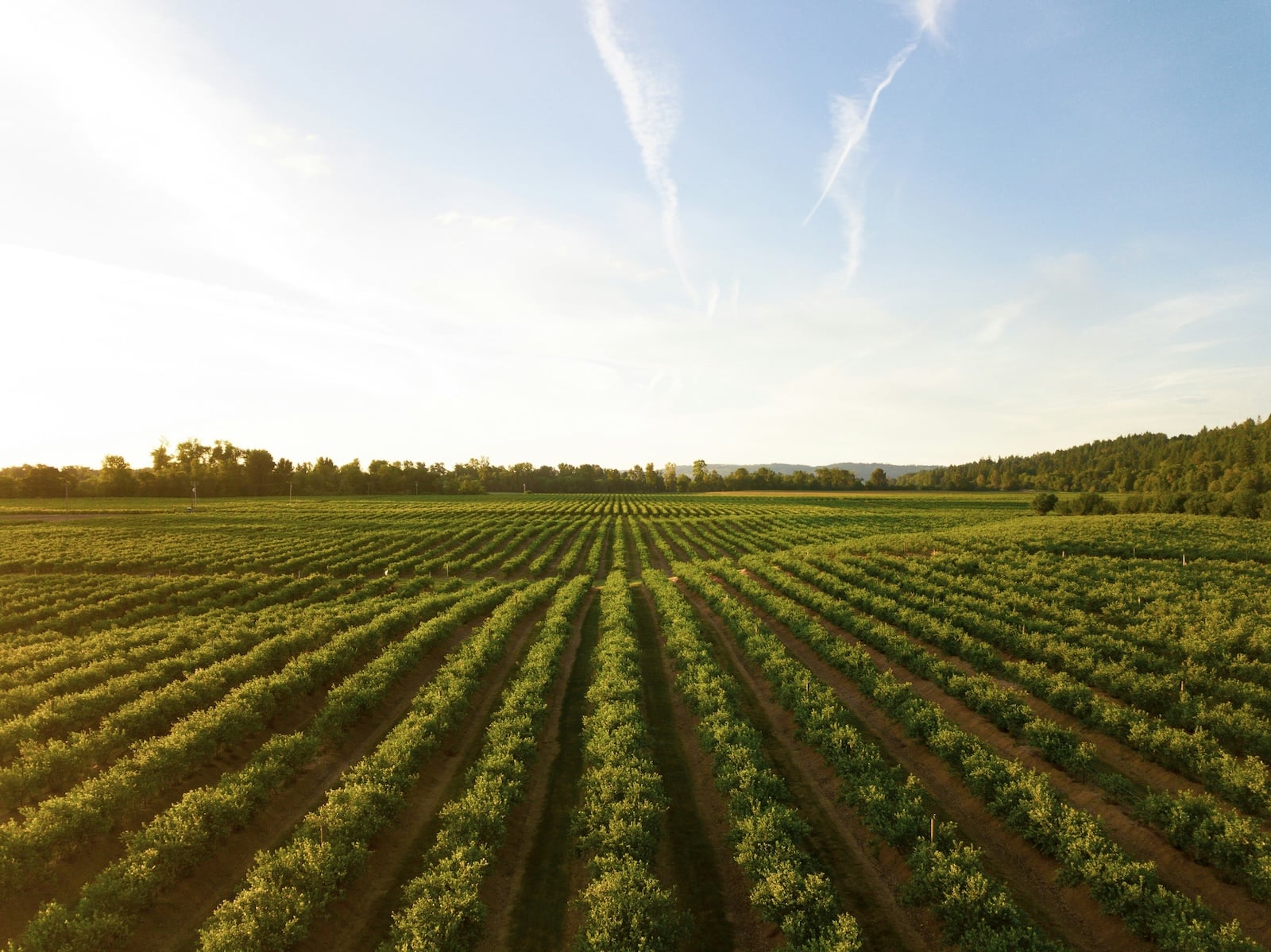 Winery in Michigan. 